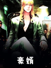 入赘豪婿