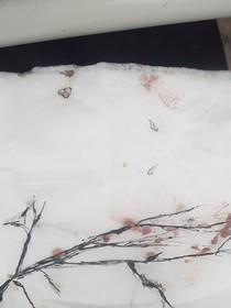 我，刺客
