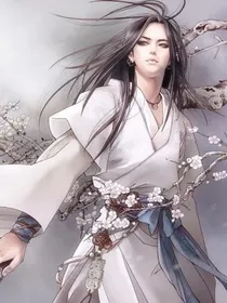 万宝大陆