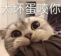 猫君大人，请就坐