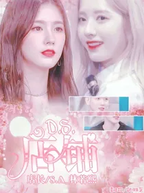 D.S杂货铺