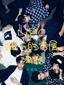 NPC：殿下的专属独宠