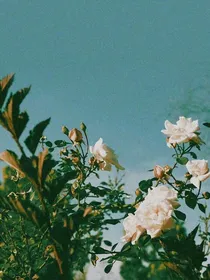 创造营2019：我家的傻宝贝