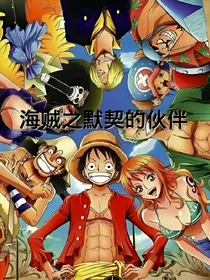 海贼之默契的伙伴