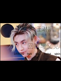 王琳凯：回眸与又见