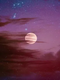 全明星定制文铺