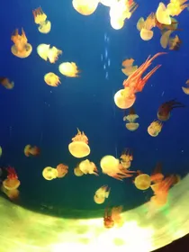 快乐的一家