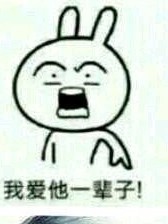 第五庄园：情人节