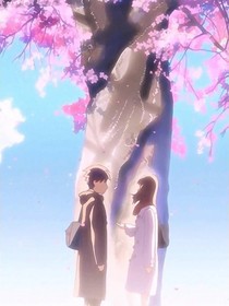 她和他的樱花祭