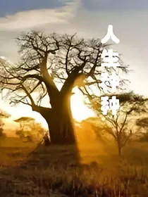 人生种种——d318