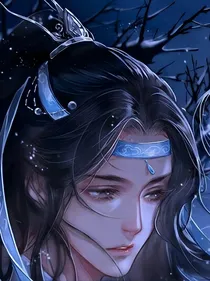 若蓝湛是女孩纸