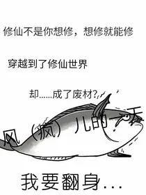 风（疯）儿的一天