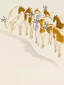 方糖合子
