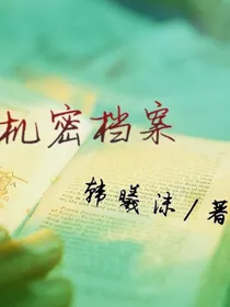 机密档案