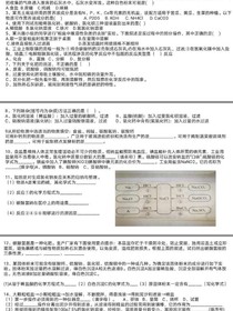 血染彼岸绝世医仙