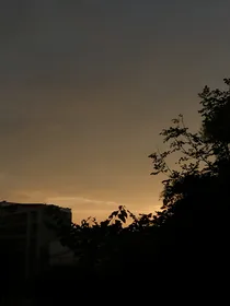 温酒不温情