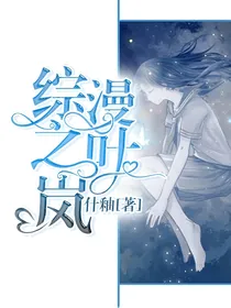 综漫之叶岚
