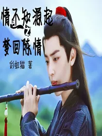 情不知源起之梦回陈情