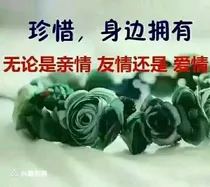 与心交心