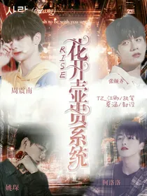 R1SE：花开壶贵系统