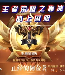 王者荣耀之靠冰心上国服