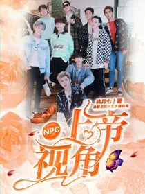 NPC：上帝视角