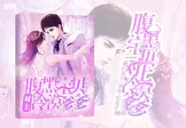 腹黑宝贝对上总裁爹爹
