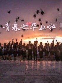 星辰大龟