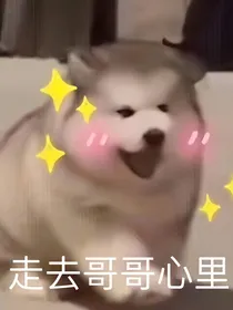 超甜短篇合集