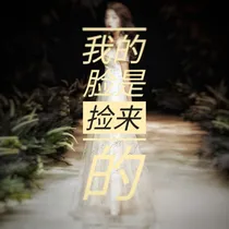 我的脸是捡来的