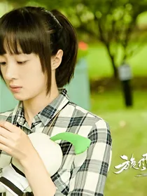 旋风少女3——全新的松柏道馆