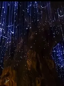 灵槐——幽冥道