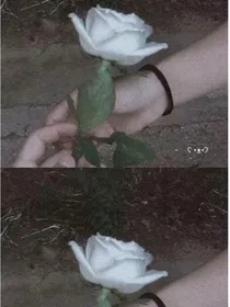 一种爱叫放手