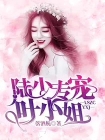 陆少专宠叶小姐
