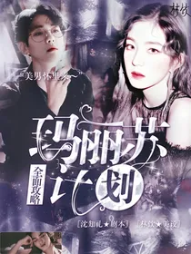 全面攻略：玛丽苏计划