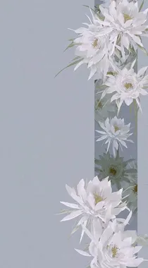 转世之恋：预谋好的一切