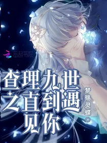 查理九世之直到遇见你