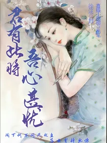 君有此将，吾心甚忧-d547