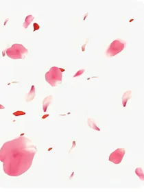 花瓣飘来的地方