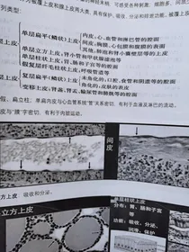 放射医学技术知识点