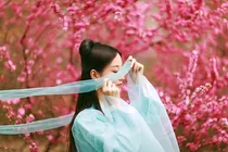 紫宸之巅