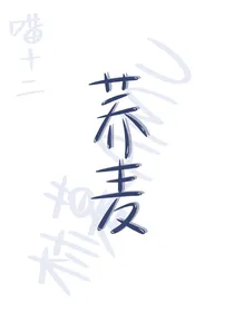 荞麦封面教程
