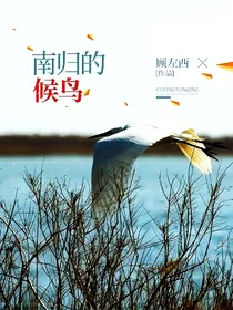 南归的候鸟