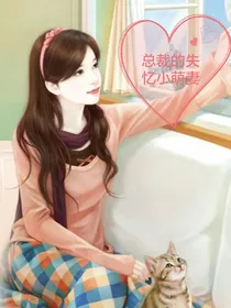 总裁的失忆小萌妻