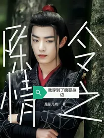 陈情令之我穿到了魏婴身边