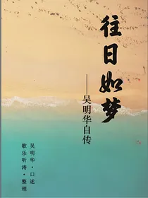 往日如梦