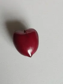 没有名字的亲情