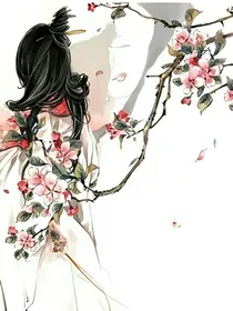 综影视，自由