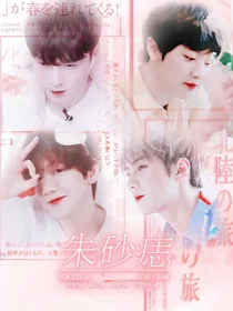 朱砂痣——