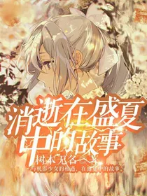消逝在盛夏中的故事